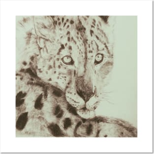 snow leopard Posters and Art